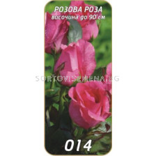 Храстовидна роза 014