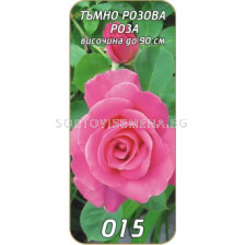 Храстовидна роза 015