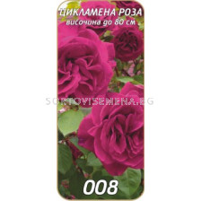 Храстовидна роза 008
