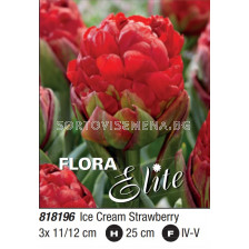 Лале/ Tulipa double late Ice Cream Strawberry: Пакет- 1 оп.- 3 бр.