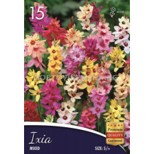 Иксия Mix - размер 5/+