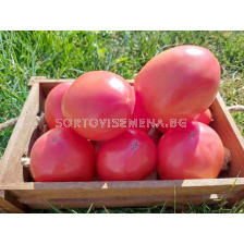 Домати Сандеро 25с 