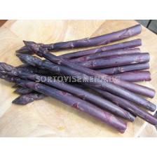 Аспержи лилави /Asparagus Pacific Purple/ 