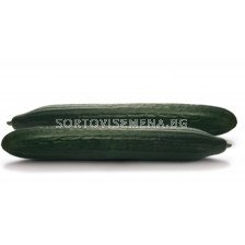 Семена краставици Инвиктус F1 - 100 сем
