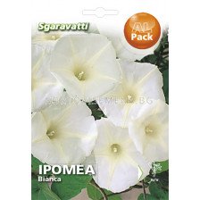 Семена Ипомея Бяла`SG - Ipomoea White `SG