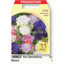 Ирис германика микс/ Iris germanica mixed - 1 пакет - 3 броя