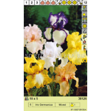 Ирис Germanica Mixed - 1 опаковка - 5 броя