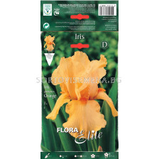 Ирис оранж  / Iris germanica orange / 1 оп ( 1 бр )