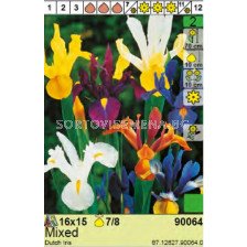 Ирис микс  /Iris Hollandica Mixed/ - Пакет: 1 оп -15 бр