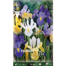 Ирис (Iris) Hollandica Микс 8/9