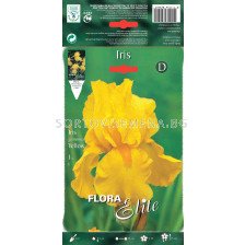Ирис жълт / Iris germanica yellow / 1 оп ( 1 бр ) 