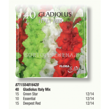 Гладиоли Italy mix pizza box - 1 кутия - 40 бр. луковици