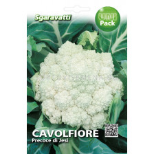 Семена карфиол Джеси`SG - Cauliflower Jesse`SG