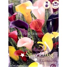 кала Sparkling mix - calla Sparkling mix