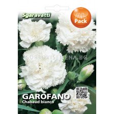 Семена Карамфил Шабо Бял`SG - Cloves Shabo White`SG