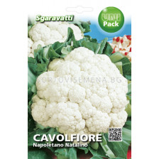 Семена Карфиол (Cauliflower) Napoletano Natalino`SG