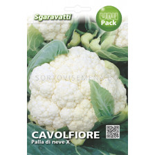 Семена Карфиол (Cauliflower) Palla di Neve`SG