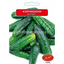 СЕМЕНА КОРНИШОНИ ЛЕВИНА (2Г) - 10 БРОЯ