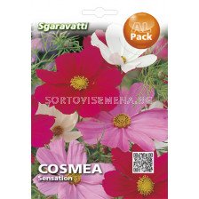 Семена Космос(Cosmos)`SG