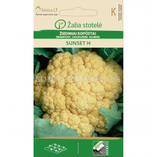 Семена Карфиол /Sunset H, Mid early/ 'SK-1 оп 15 гр