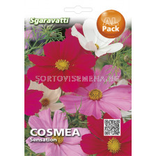 Семена Космос(Cosmos)`SG