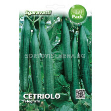 Семена краставици Телеграф`SG - cucumber Telegraph`SG
