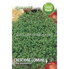 Семена Кресон Comune`SG - Cress Comune`SG