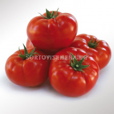 Семена домати KS 202 F1 - 100 семена