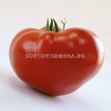Семена домати KS 204 F1-100 семена