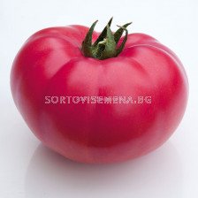 Семена Домати Каншин - Tomato Kanshin (KS 3811 F1) 