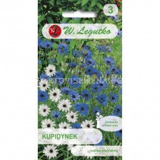 Катананче /Catananche caerulea miх/ LG 1 оп