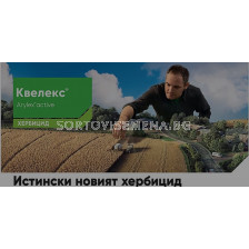 Квелекс НОВ с Arylex active 600 гр