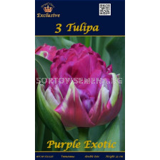 Лалета  Purple Exotic (пакет - 3 луковици)