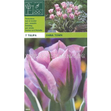 Лалета China Town (7 луковици)