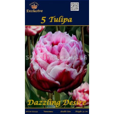 Лалета (Tulips) Dazzling Desire (5 луковици)