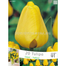 Лалета (Tulips) Geel - Yellow (20 луковици)