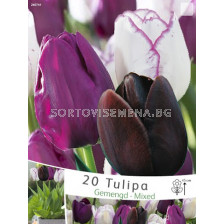 Лалета (Tulips) Gemengd - Mixed (20 луковици) 