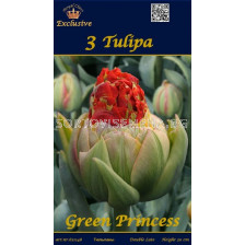 Лалета Green princess 3 бр (пакет)