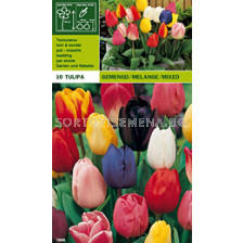 Лалета (Tulip) mix