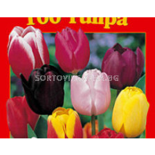 Лалета класически микс 50 бр - Classical mix of tulips 50 pcs