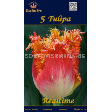 Лалета Realtime (5 луковици)