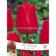 Лалета Rood - Red (пакет - 20 луковици)
