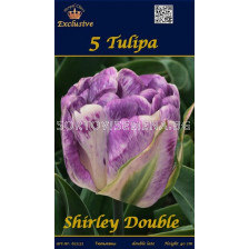 Лалета (Tulips) Shirley Double (5 луковици)