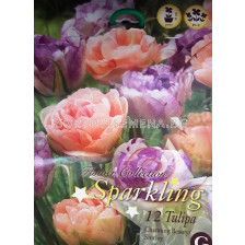 Лалета (Tulips) Sparkling Mix Charming Beauty & Shirley 