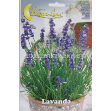 Семена Лавандула (Lavender) BL