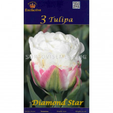 Лале (Tulip) Diamond Star  