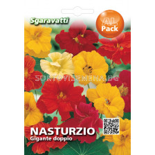 Семена Латинка висока Кичеста SG - Nasturtium SG
