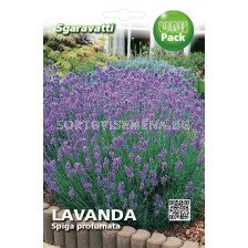 Семена Лавандула (Lavender)`SG