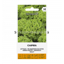 СЕМЕНА САЛАТА CAIPIRA, LETTUCE - 'SK - 20 семена