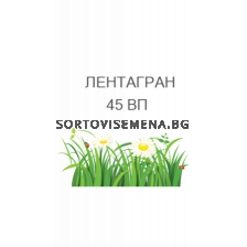 Лентагран ВП
